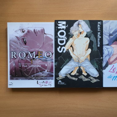 Manga - lot bl