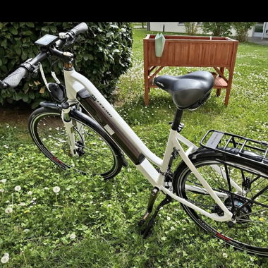 EBIKE Allegro Champion Wie neu nur 600km