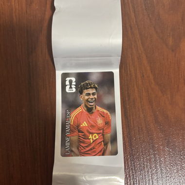Carte Panini FIFA à collectionner