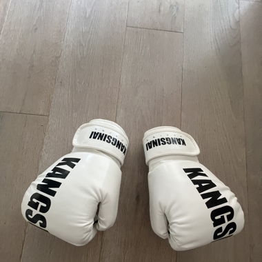 Boxhandschuhe