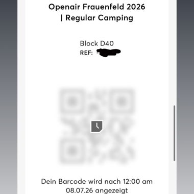 Openair Frauenfeld Camping Ticket