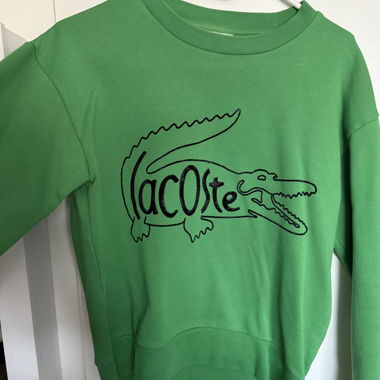 Bel maglione Lacoste verde
