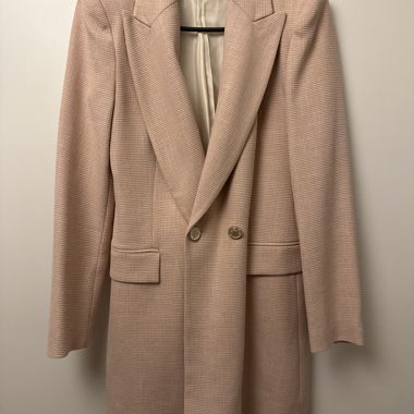 Zara pink blazer with gold detail 