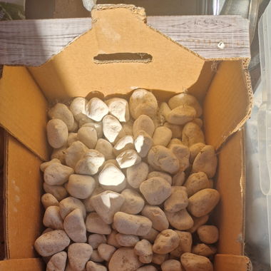 LOT DES GALETS POUR JARDIN OU MOSAÏQUE