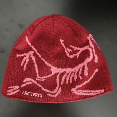 Bonnet Arc'teryx