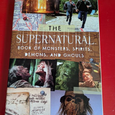 Supernatural Buch