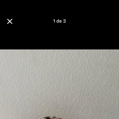 Casquette Gucci avec facture 