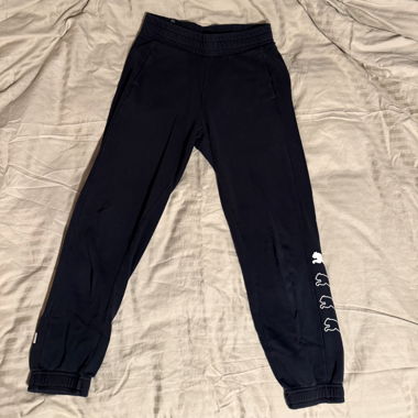 Puma Training Pants Black