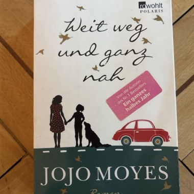 Jojo Moyes Roman