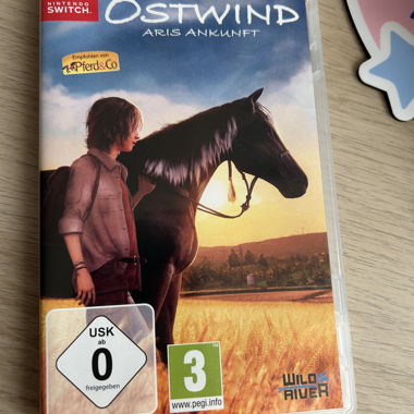 Ostwind: Aris Ankunft