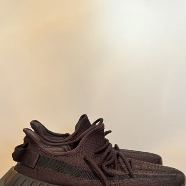 Adidas Yeezy Boost 350 V2 Cinder