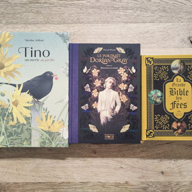 Paket mit neuen Büchern Märchen und Legenden