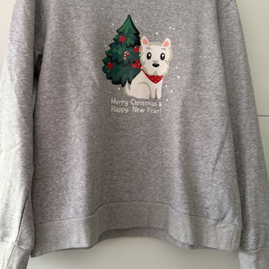 Sweatshirt de chicorée gris