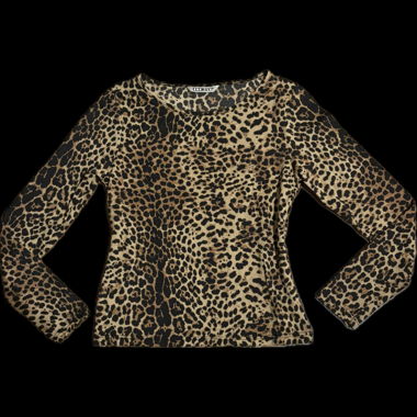 Leopard Print Long-Sleeve Top