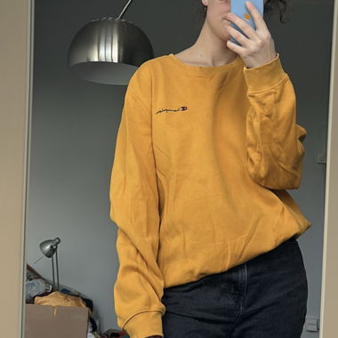 Champion Pullover