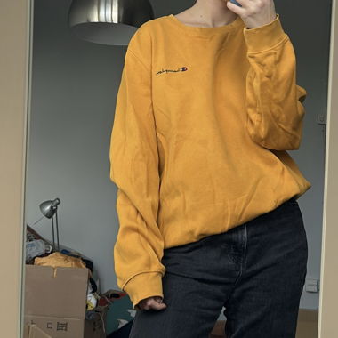 Champion Pullover
