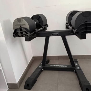 Lacertosus Dumbbells