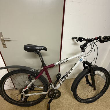 Damen Mountainbike