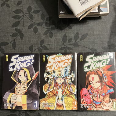 Manga, Shaman king tome 1-2-3