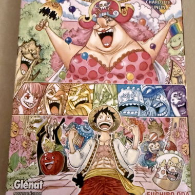 One Piece Volume 83 in French 