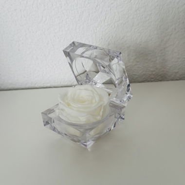White preserved rose in clear box