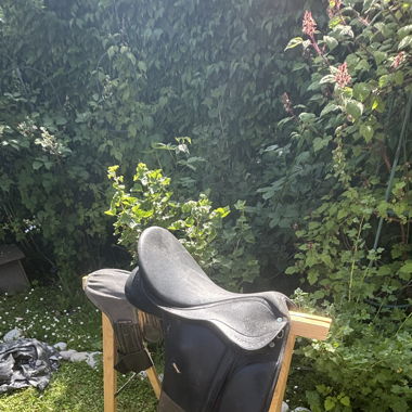 Selle Wintec pro (dressage) avec sangle 