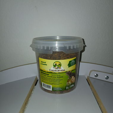 Mealworm Box 1L