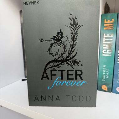 Romanzo After Forever
