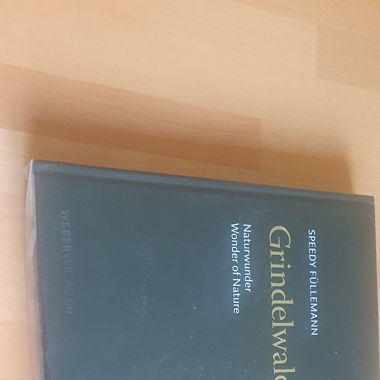 GRINDELWALD BILDBAND