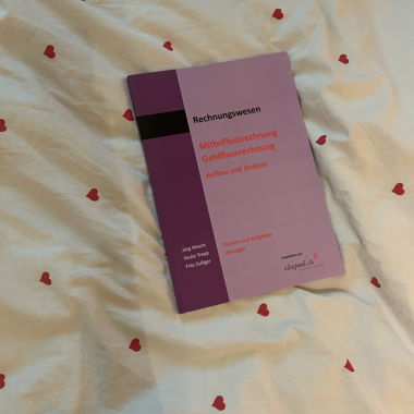 Libri di contabilità per BM economia