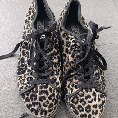 Vans Leopard Sneakers