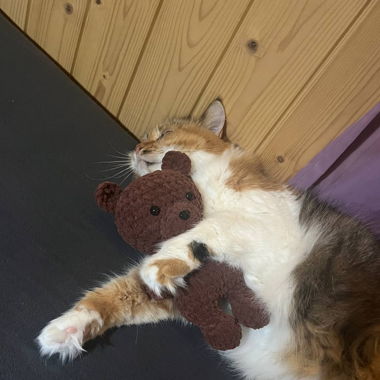 Amigurumi-Bär