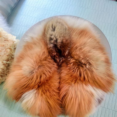 Luxurious Red Fox Fur Stole-Scarf