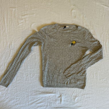 maglia a maniche lunghe grigia con ricamo di limone