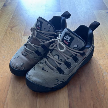 Nike Supreme SB Darwin 
