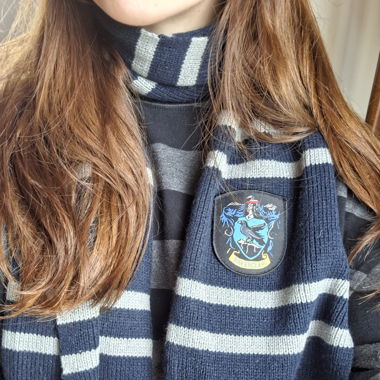harry potter ravenclaw scarf 🔮