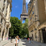 elyne_16
