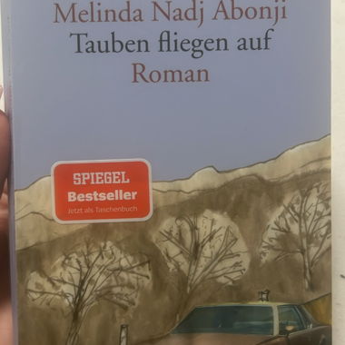 Tauben fliegen auf