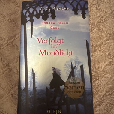 Verfolgt im Mondlicht 