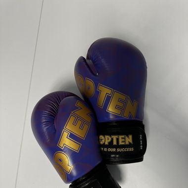 Top Ten Boxhandschuhe 