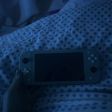 Nintendo switch lite 