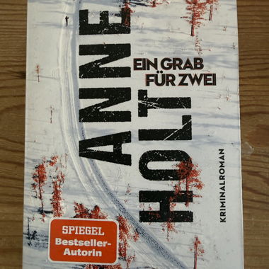Un enterrement pour deux, Anne Holt