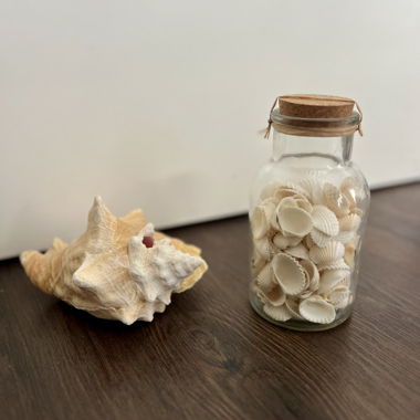 Décoration d'été Coquillages