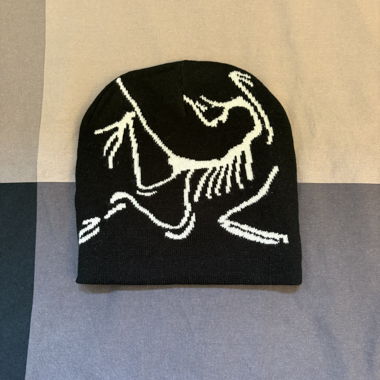 Arc’teryx beanie 
