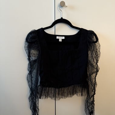 Topshop Top - Mesh Sleeves