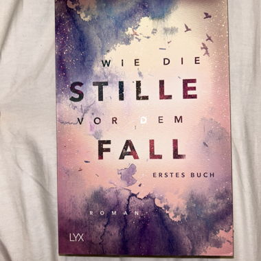 Wie die Stille vor dem Fall (1) Brittainy C.Cherry