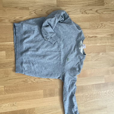 Lacoste live 