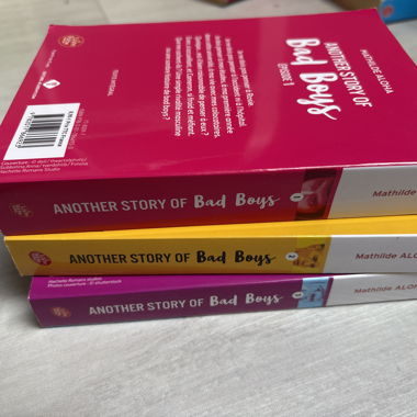 Another Story of Bad Boys book trilogy