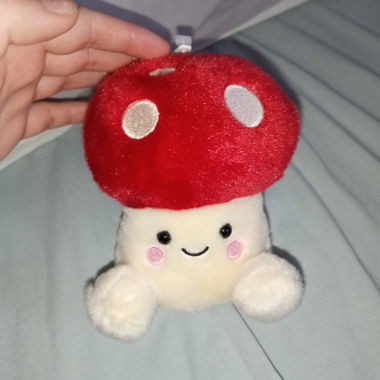 Mushroom Plushie