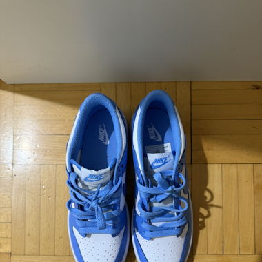 Dunk low - coloris bleu polaire 